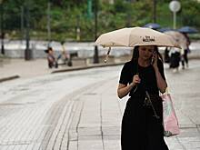 Синоптик рассказал, что новый пик температуры ожидается в Москве 17 августа