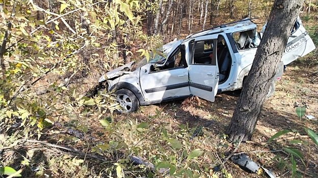 Рядом с Пензой «Лада-Ларгус» слетела с дороги