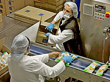 Крым нарастил экспорт сельхозпродукции