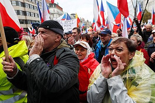 Протестующие в Чехии потребовали прямых соглашений с Россией о поставках газа