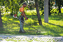 В Челябинске выделили 7 миллионов на уборку травы в парках