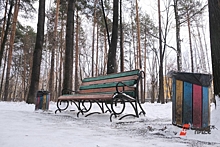 В Екатеринбурге объяснили, почему общежитие для спортсменов построят в парке