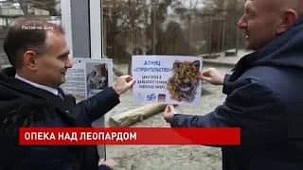 НИЦ &laquo;Строительство&raquo; берет под опеку леопарда из Ростовского зоопарка