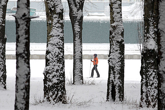 Температурные рекорды: Москву ждет потепление