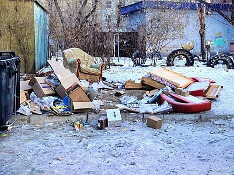 Эконадзор зафиксировал свалки и нарушения на 7 площадках Читы