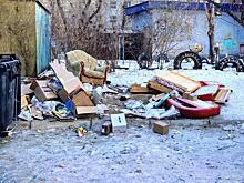 Эконадзор зафиксировал свалки и нарушения на 7 площадках Читы