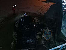 В Ленобласти три человека погибли в перевернувшейся лодке