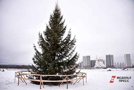 На создание двух новогодних городков власти Нижневартовска потратят более 15 млн рублей