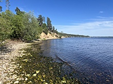 МегаФон повысил качество связи и скорость интернета в селе на берегу Волги