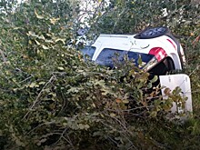 В ДТП в Рязанском районе пострадали трое детей