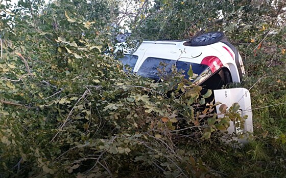 В ДТП в Рязанском районе пострадали трое детей