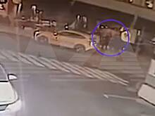 Появилось видео нападения на баскетболиста ЦСКА Шведа