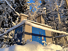 Коммунальные службы Ленобласти перешли на усиленный режим работы из-за морозов