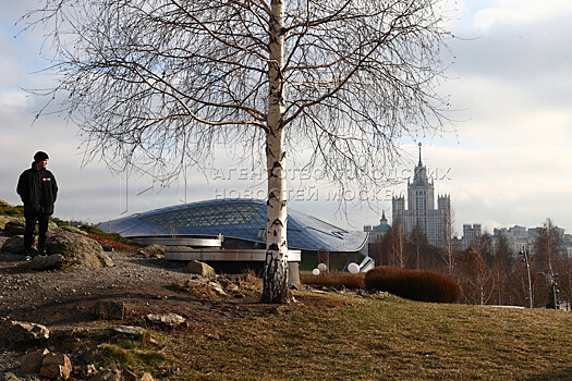 Вильфанд рассказал, ждать ли москвичам зимы до конца ноября