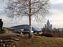 Вильфанд рассказал, ждать ли москвичам зимы до конца ноября