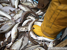 Россия лишает Британию национального символа