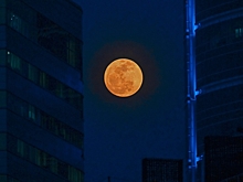 Москвичи смогут увидеть затмение Луны