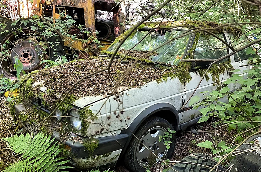 В британском лесу нашли множество забытых автомобилей