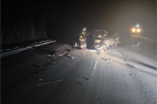 Водители отечественных легковушек попали в смертельное ДТП под Омском