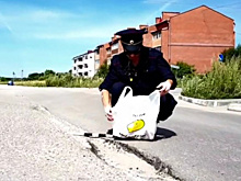 Блогер, починивший благовещенские дороги лапшой, может получить штраф