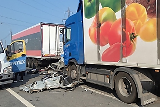 В Самарской области четыре человека погибли в массовом ДТП
