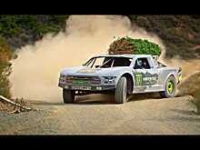 Видео. Из лесу елочку взяли мы домой. Быстро!