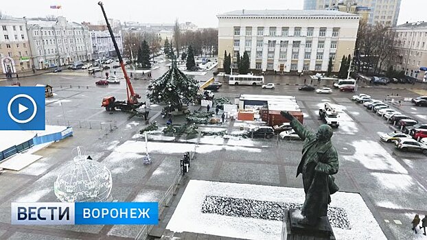 В мэрии рассказали, чем будут удивлять воронежцев в Новый год