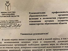 Минобразования обязало саратовские колледжи очистить крыши и тротуары, но денег на это не выделило