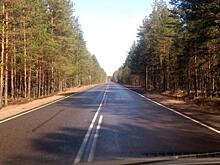 Санкт-Петербург и Ленинградская область совместно отремонтируют 85 дорог на 1,3 млрд руб.