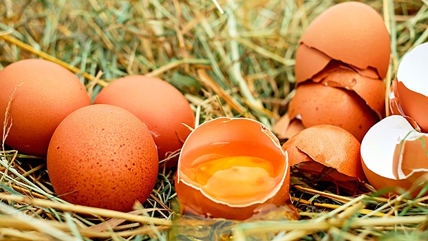 Диетолог назвала главную опасность яиц