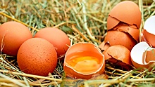 Диетолог назвала главную опасность яиц