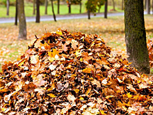 В Астрахани хотят штрафовать за незаконное складирование мусора