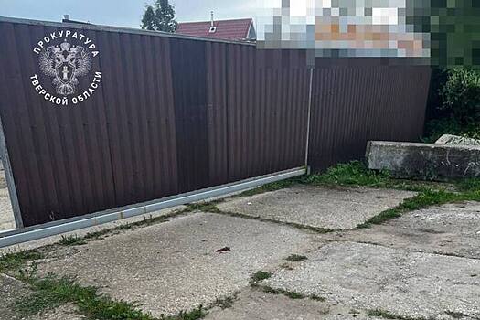 Появились жуткие подробности гибели малыша под колесами иномарки
