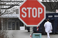 В Германии введут 21-дневный карантин для заразившихся обезьяньей оспой