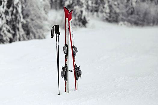 Александр Бастрыкин потребовал доклад по делу об отравлениях в Шерегеше