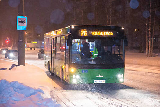 Депутатов — на автобус: к концу года в Архангельске станет больше «пазикозаменителей»