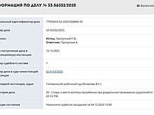 Суд по апелляции Павла Прилучного об опеке пройдет 4 декабря в Мосгорсуде