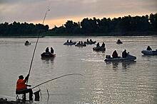 В России появится рыболовный туристический лагерь для взрослых
