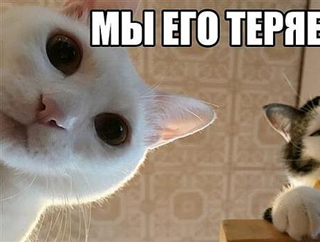 Контакты третьей степени: на каком этапе исчезают клиенты