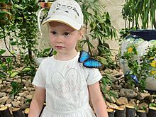 6-летняя дочь Игоря Николаева снялась в клипе своего отца и Валерии