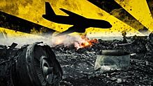 Топорнин: факты из Нидерландов о MH17 вовлекут причастных в новую игру