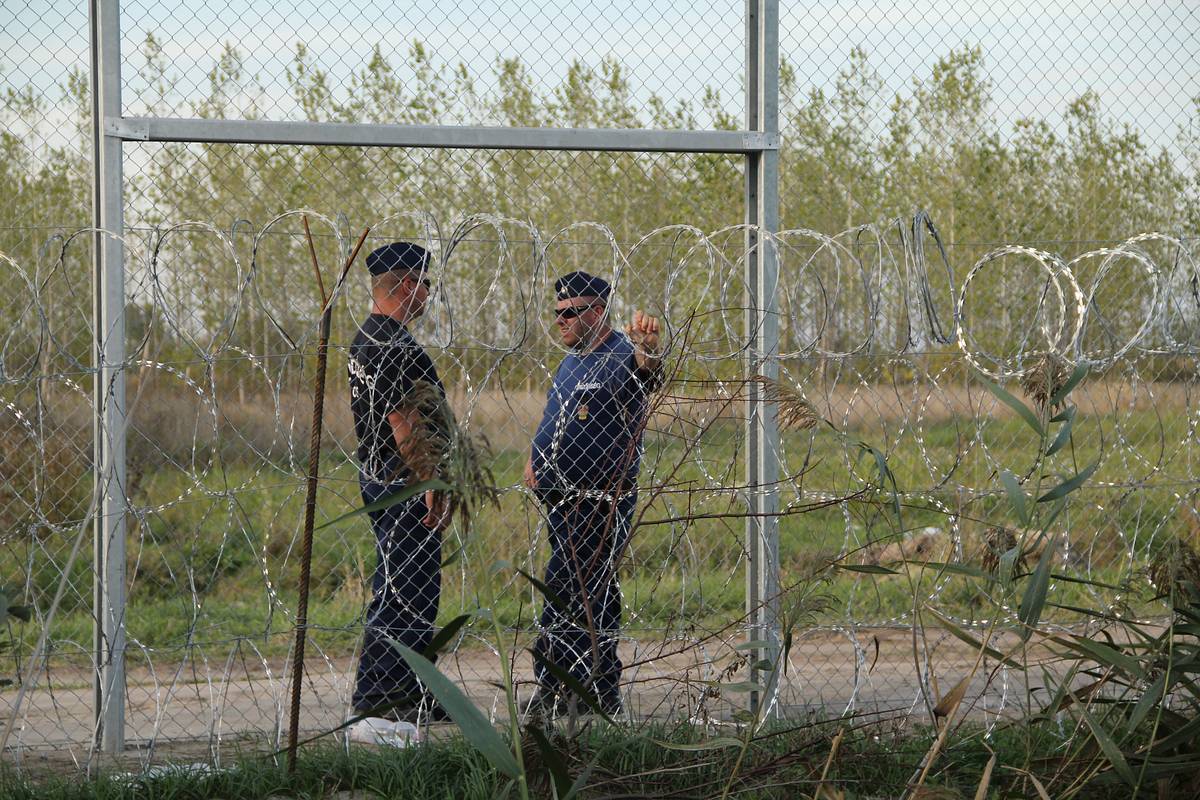 17 украинцев задержали на границе с Венгрией из-за попытки незаконного выезда