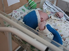 113 пап в Волгограде оформили отпуск по уходу за ребенком до 1,5 лет