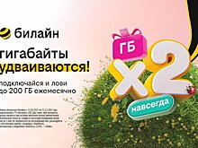 билайн запустил акцию для организации интернета в загородном доме