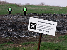Власти ДНР готовы предоставить доступ к месту крушения рейса MH17
