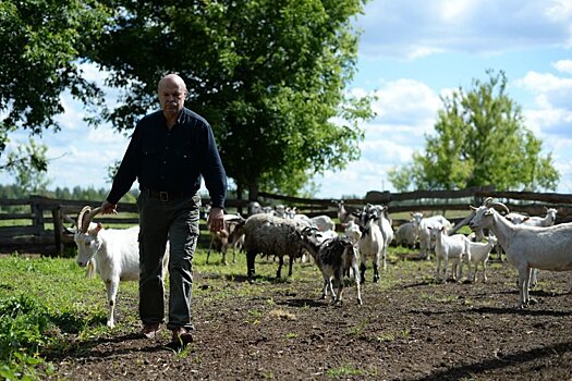 Вятка продлила проект поддержки малого предпринимательства