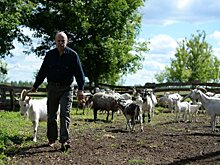 Вятка продлила проект поддержки малого предпринимательства