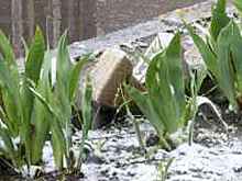 Один человек погиб во время пожара на северо‐востоке столицы