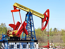 На Украине выдвинули Словакии условие для решения проблем с нефтью