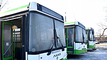 Курганцы смогут отслеживать автобусы в приложении 2ГИС